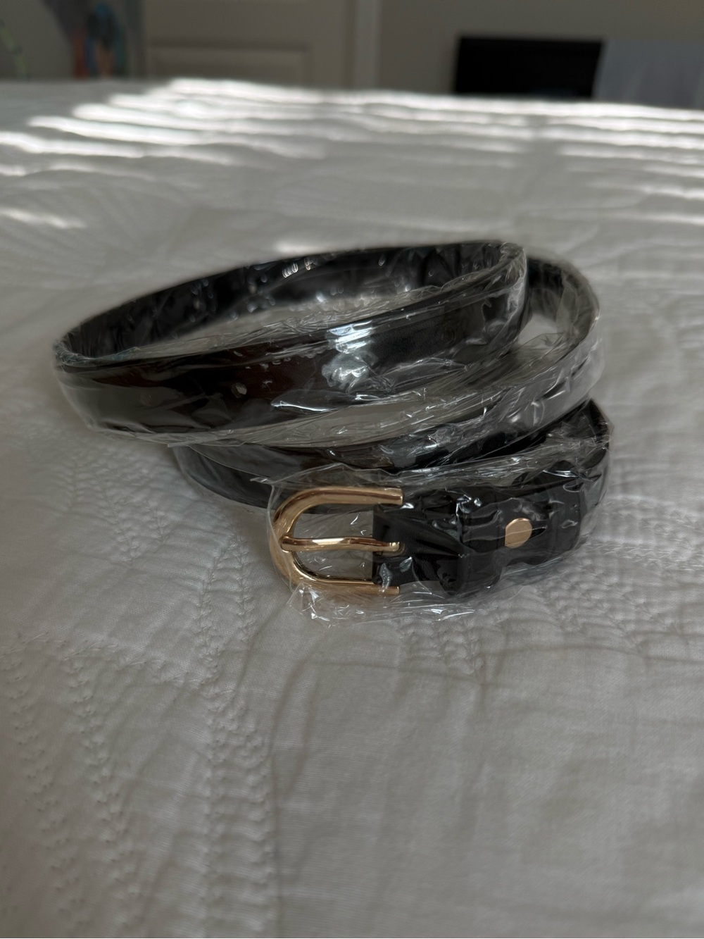 Black Belt with Gold Buckle